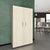 CHOICE Armoire de porte d'aile | 5 oh, 1000 x 1820 mm, cendres gris / sable cubanite