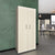 CHOICE Flügeltürenschrank | 5 OH, 800 x 1820 mm, Cubanitgrau / Sandesche