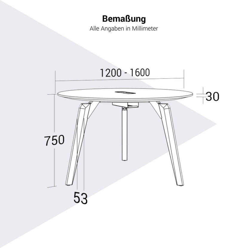 BRALCO RAIL meeting table | Round, 1200 - 1600 mm (4 - 6 people), real wood, light gray oak