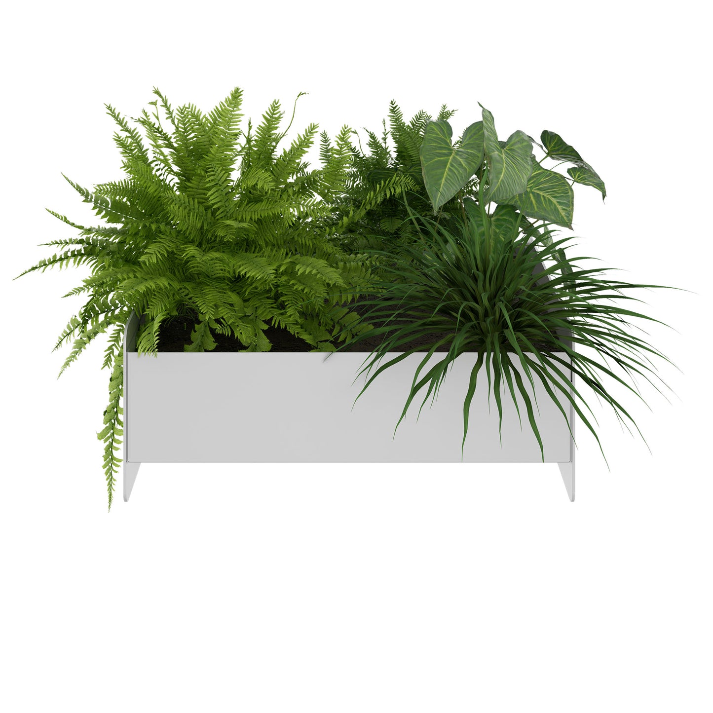 ATELLA Boîtes de fleurs | 360 x 160 mm, métal