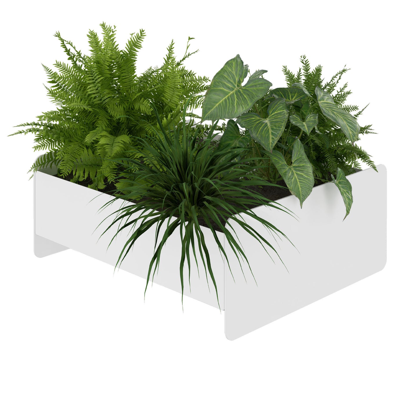 ATELLA Boîtes de fleurs | 360 x 160 mm, métal