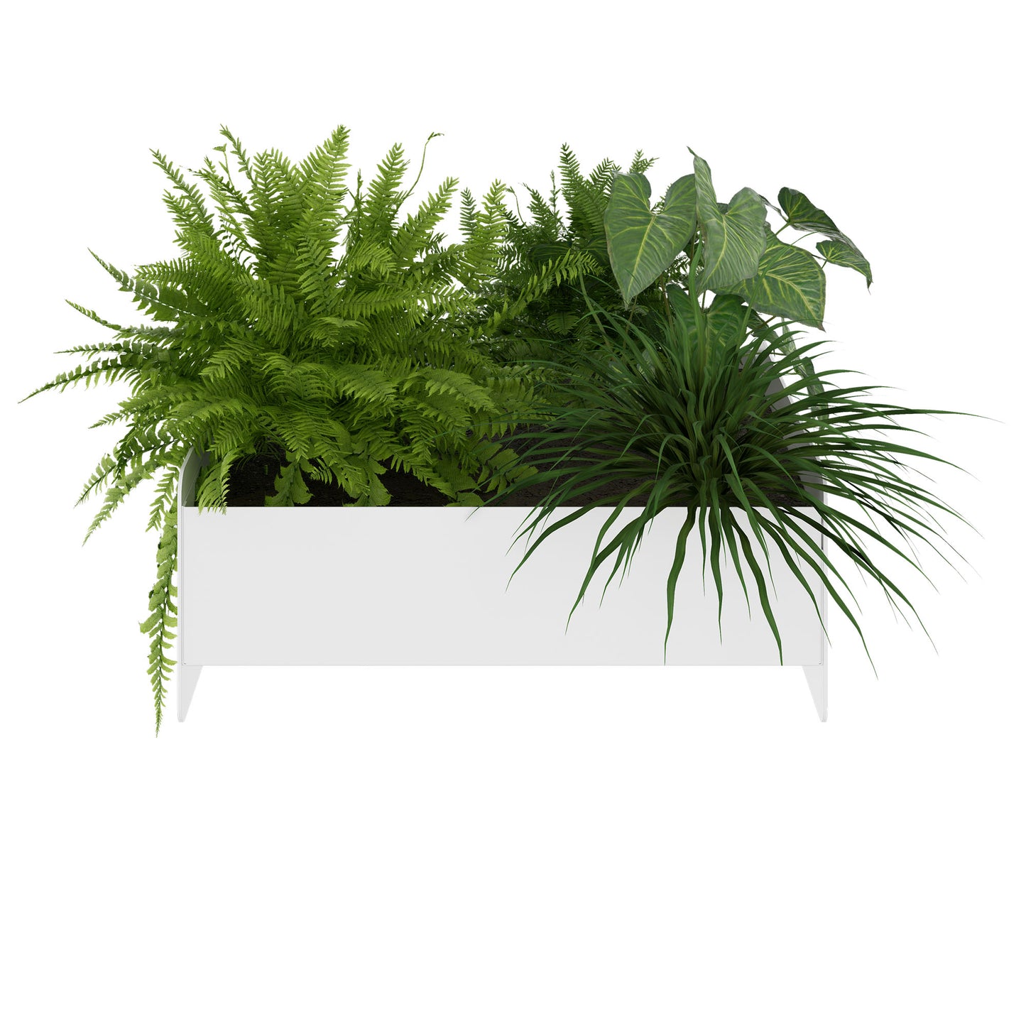 ATELLA Boîtes de fleurs | 360 x 160 mm, métal