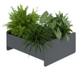 ATELLA flower box | 360 x 160 mm, metal - 1 Thumbnail Image