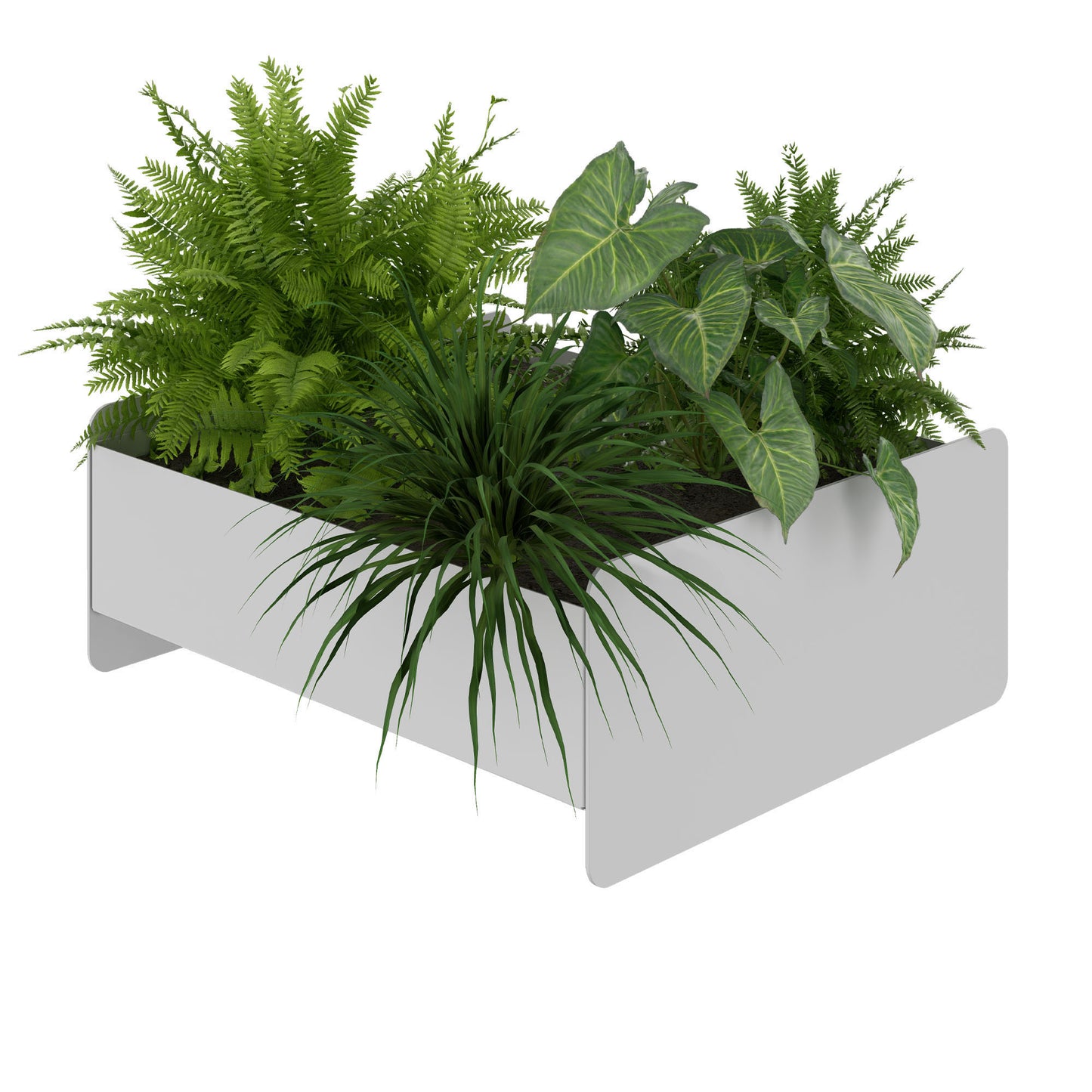 ATELLA Boîtes de fleurs | 360 x 160 mm, métal