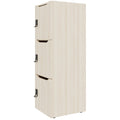 Armadietto CHOICE | 450 x 1370 mm, 2 o 3 scomparti, frassino sabbiato - 3 Thumbnail Image
