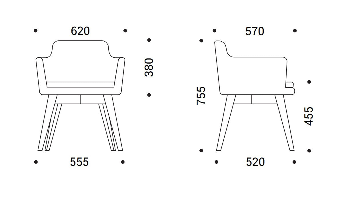 DANAE Fauteuil salon | Cadre Esche-Ech-Wood, Tabrics de référence Lucia / Velito / Synergy