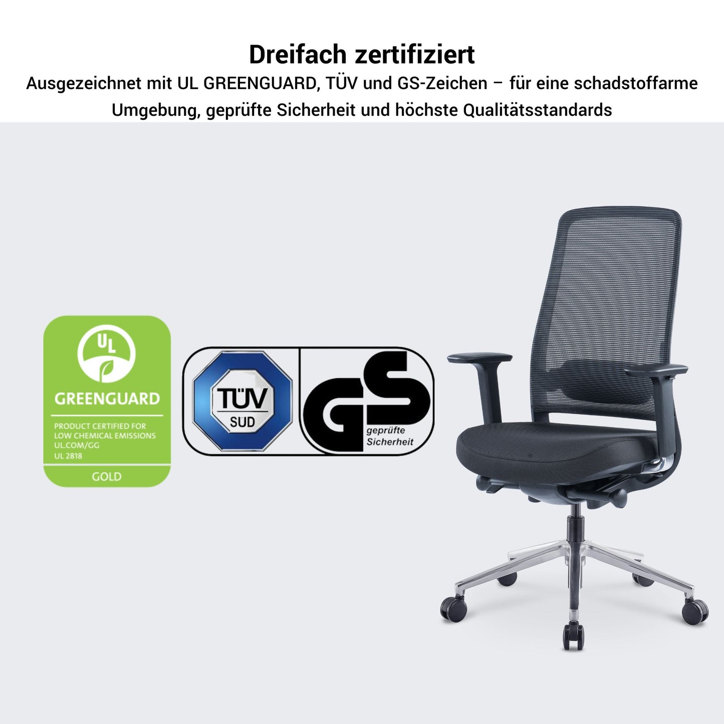 FILO-B 2.0 office swivel chair | Lumbar vertebrae lordosis, network back, black