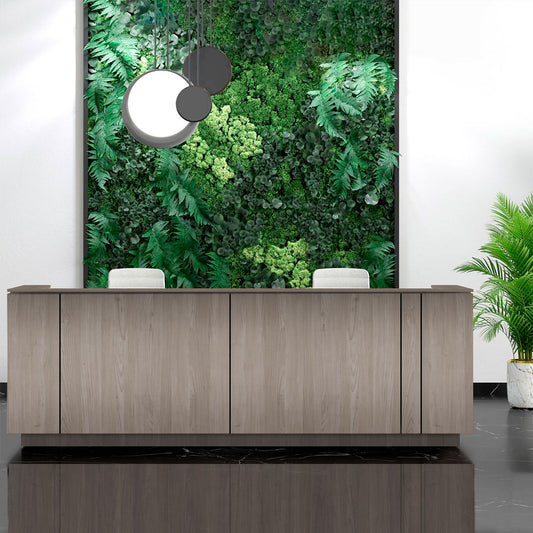 ICE reception desk | 3214 x 1022 mm, gray northern oak