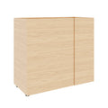 PLANA Flügeltürenschrank | 2OH, 900 x 814 mm - 15 Thumbnail Image