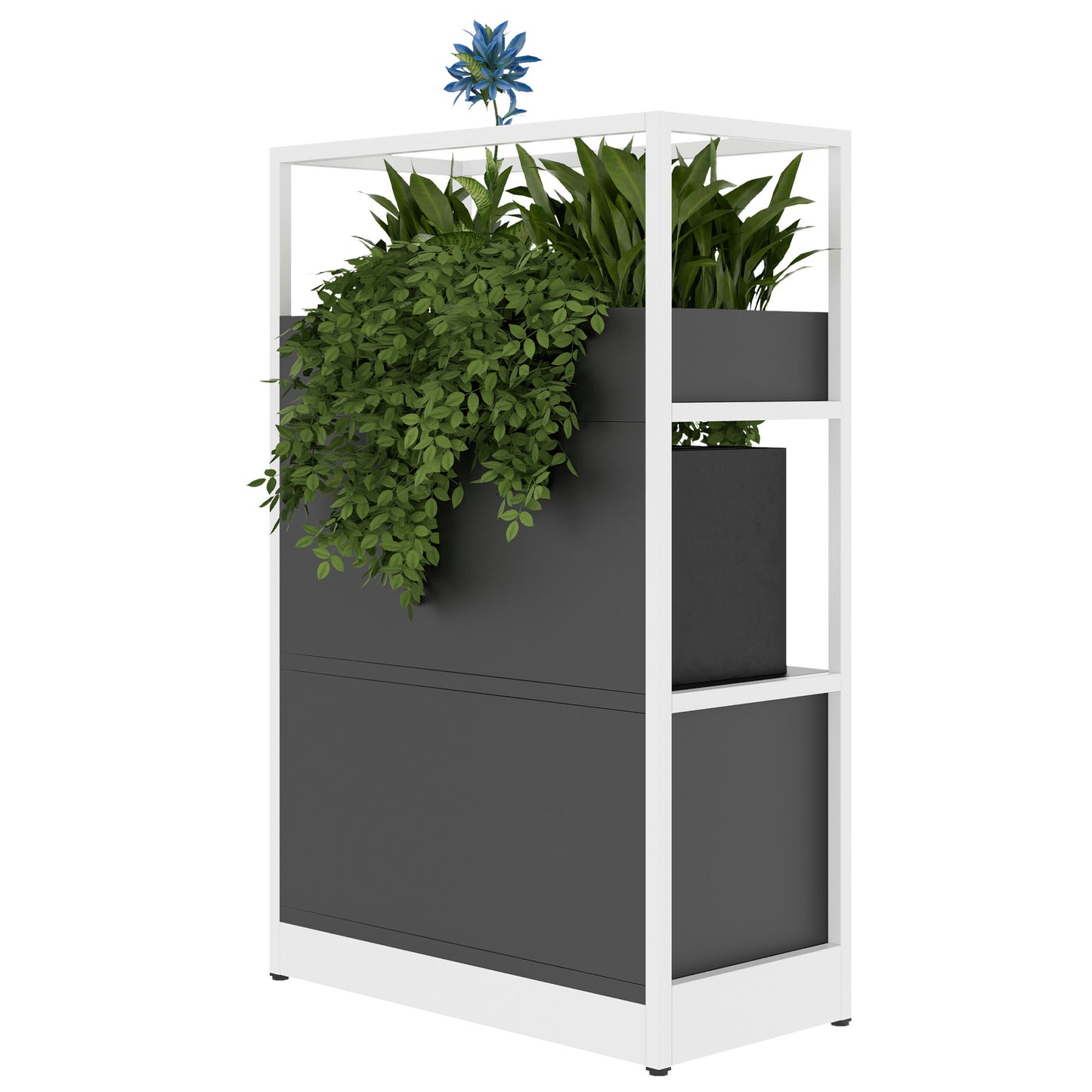 ATELLA Regalschrank | 3 OH, 800 x 1255 mm, Anthrazit