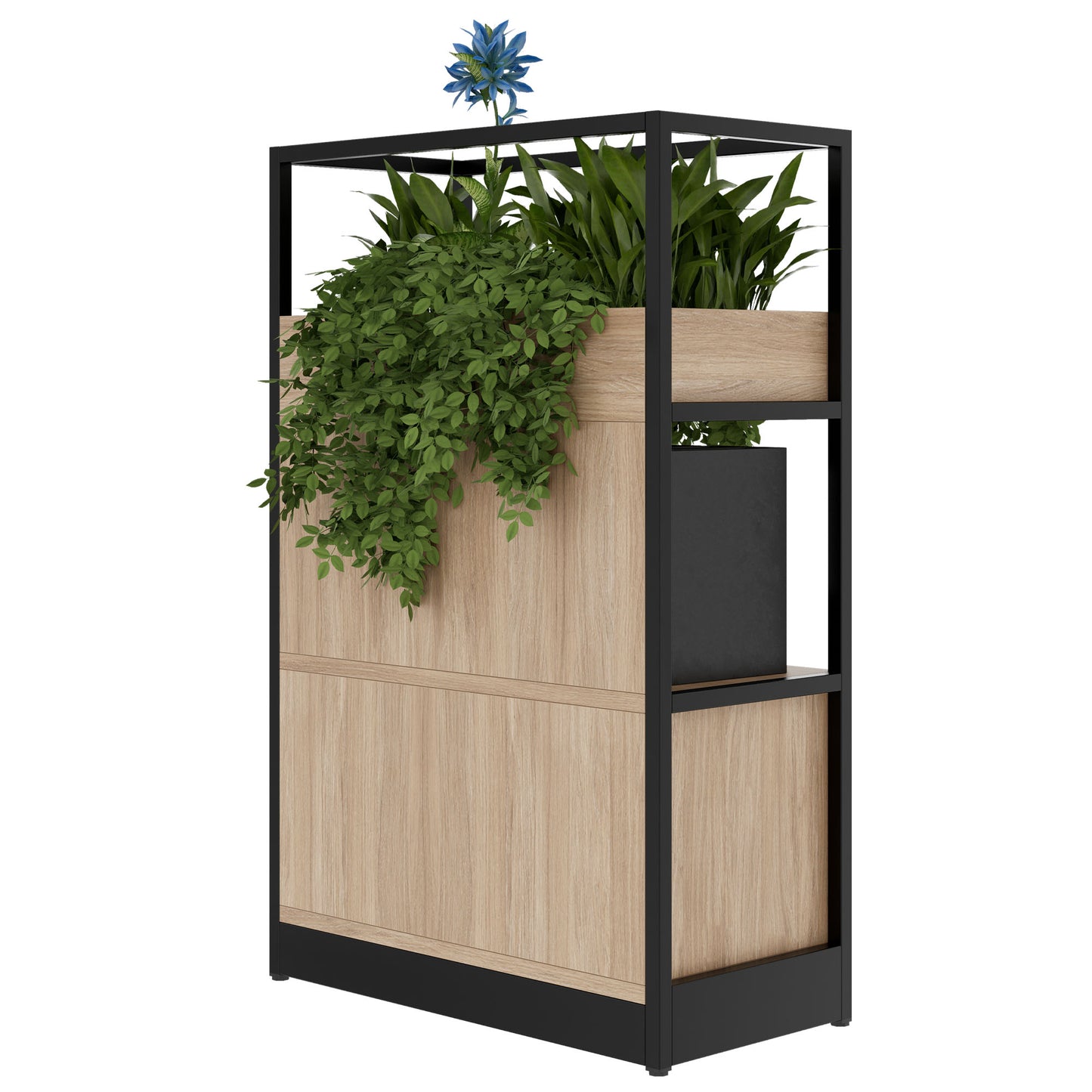 ATELLA Armoire d'étagère | 3 oh, 800 x 1255 mm, chêne ambre