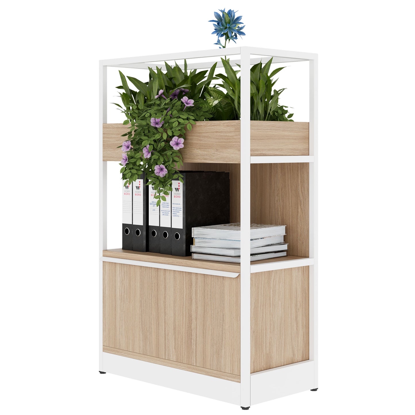 ATELLA Armoire d'étagère | 3 oh, 800 x 1255 mm, chêne ambre