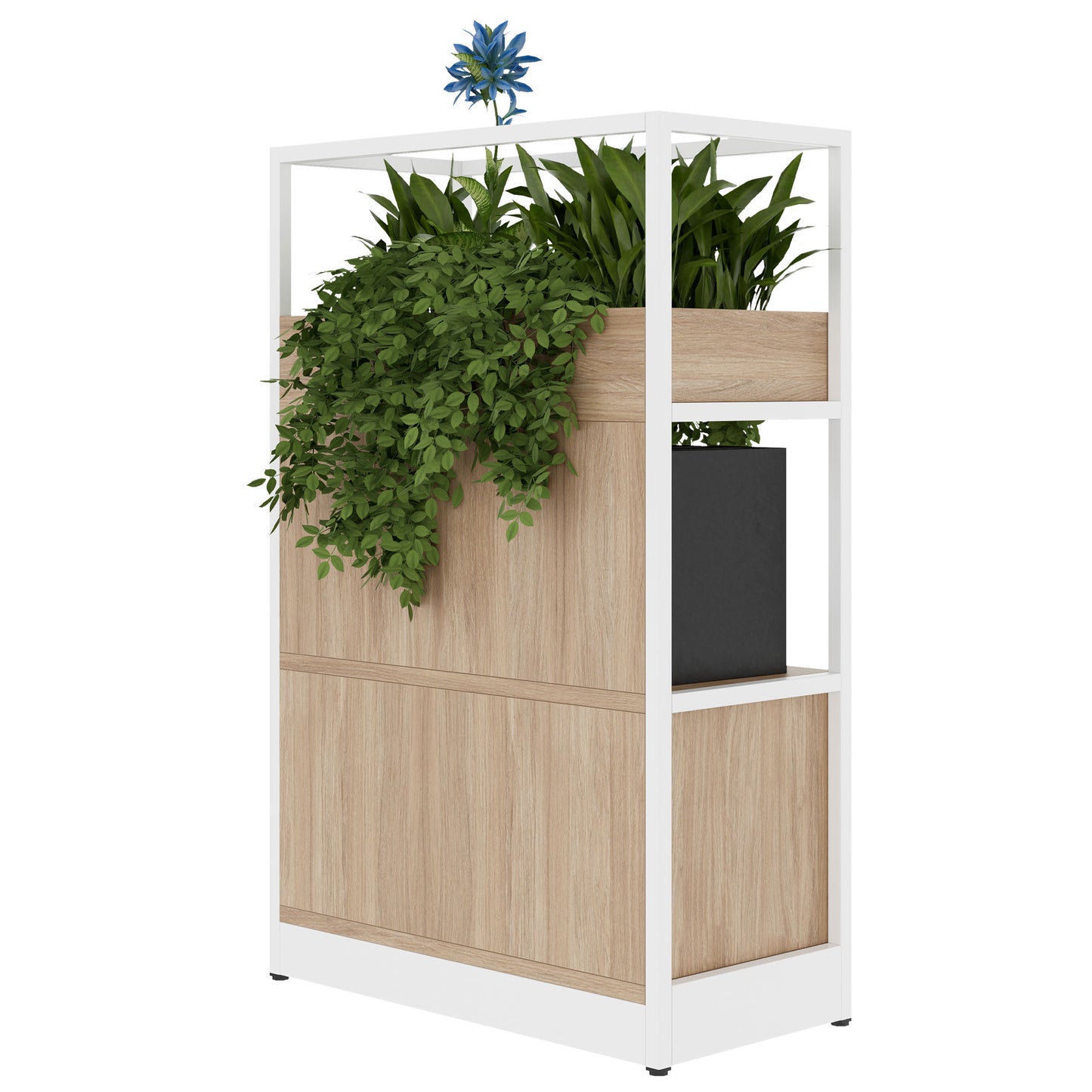 ATELLA Armoire d'étagère | 3 oh, 800 x 1255 mm, chêne ambre