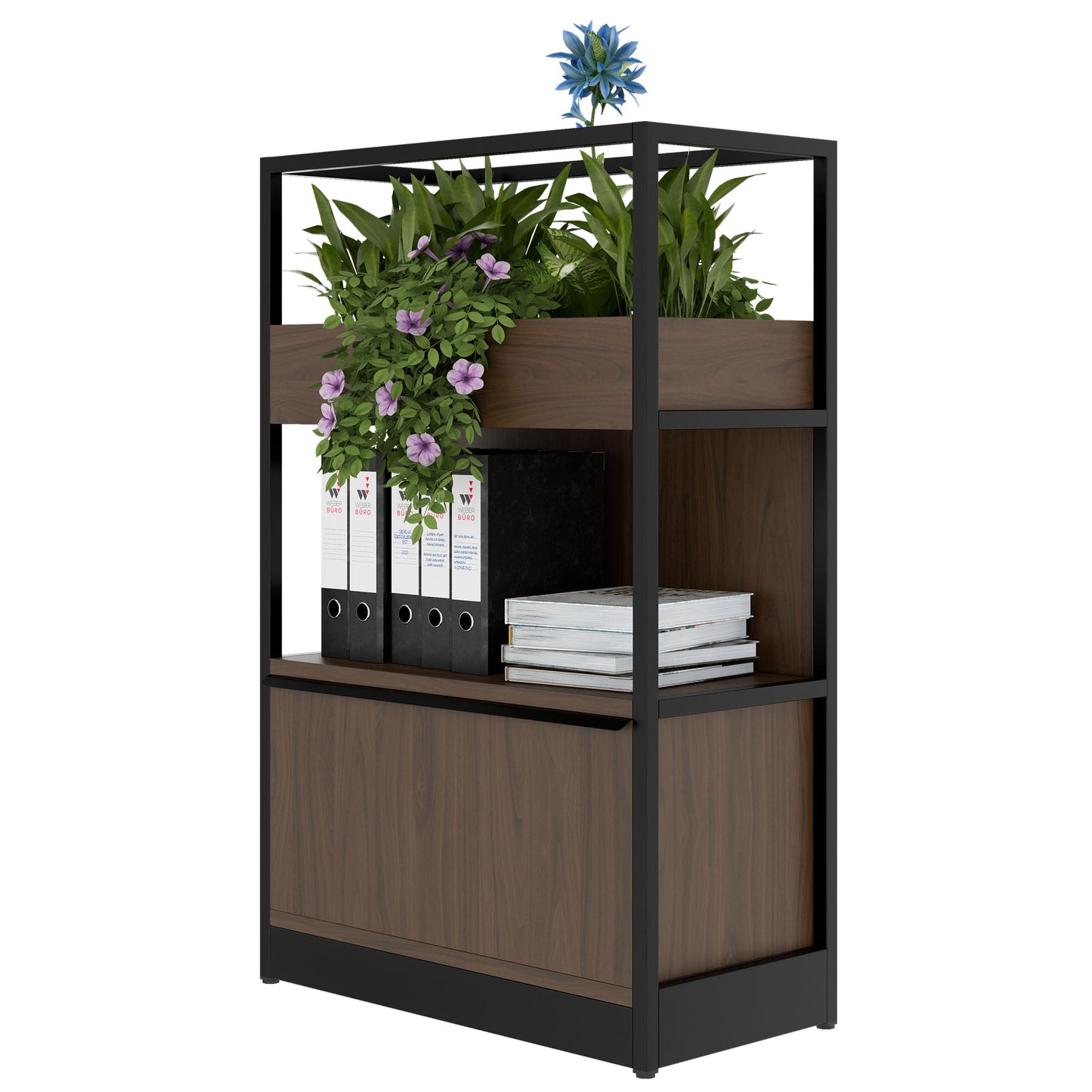 ATELLA Armoire d'étagère | 3 oh, 800 x 1255 mm, noix