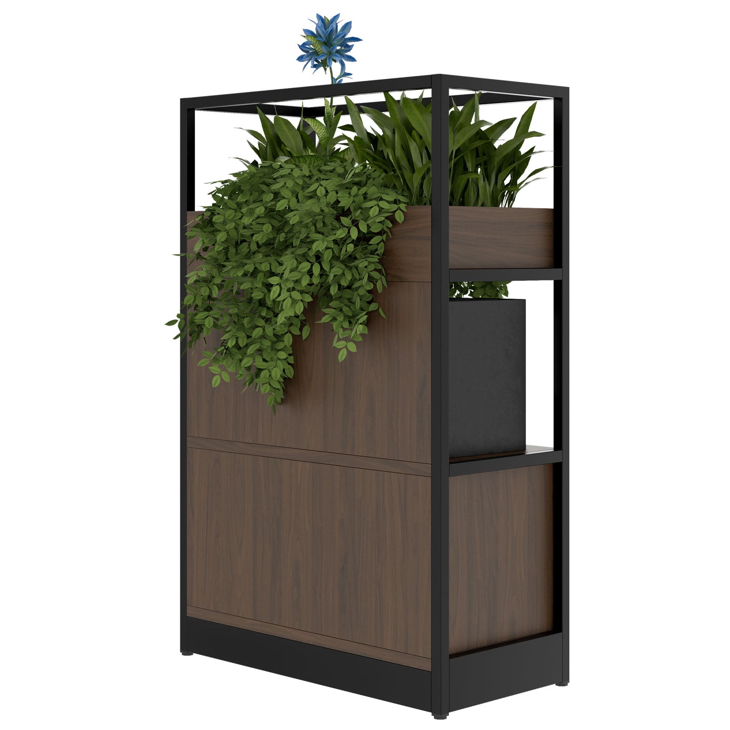 ATELLA Armoire d'étagère | 3 oh, 800 x 1255 mm, noix