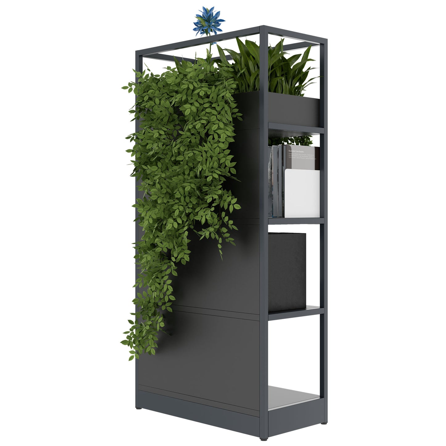 ATELLA Armoire d'étagère | 4 oh, 800 x 1610 mm, anthracite