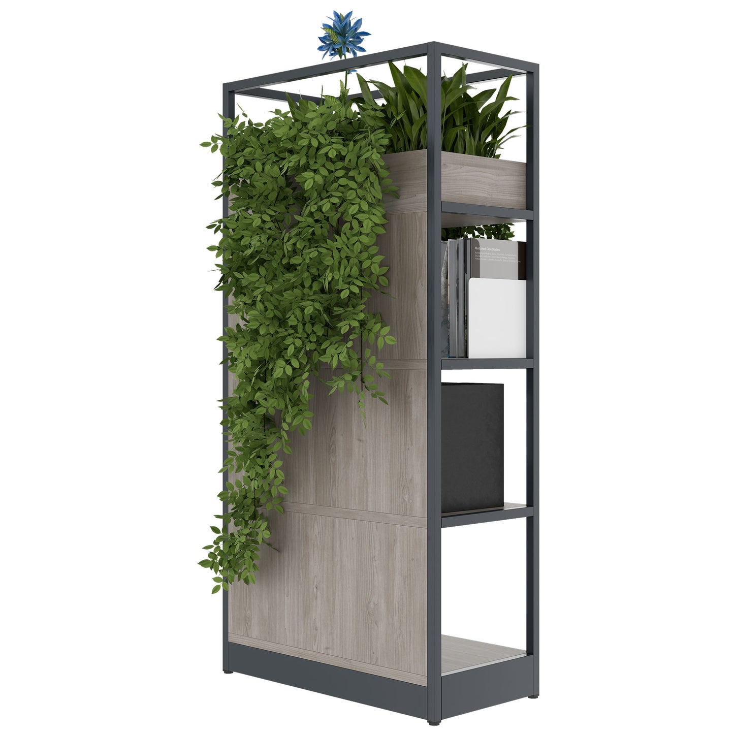 ATELLA Armoire d'étagère | 4 oh, 800 x 1610 mm, North Oak Gray