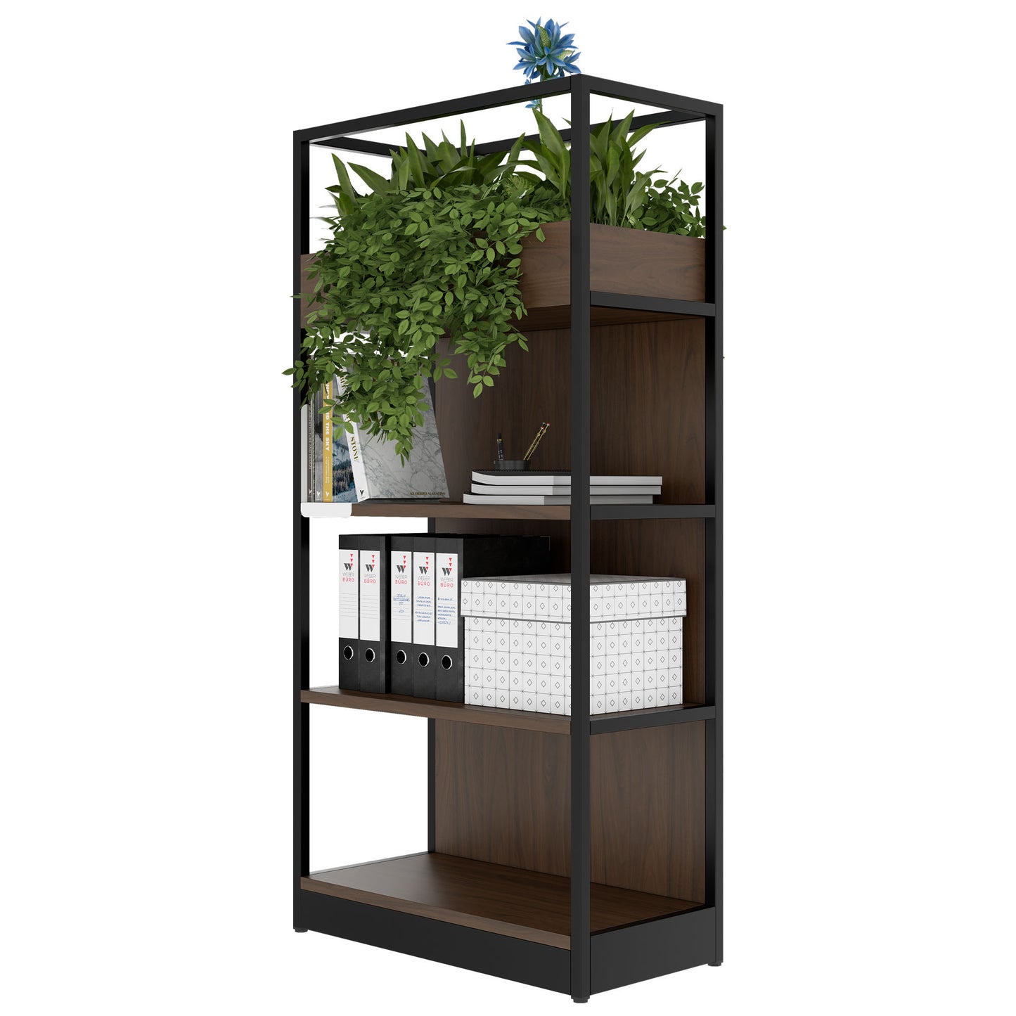 ATELLA Armoire d'étagère | 4 oh, 800 x 1610 mm, noix