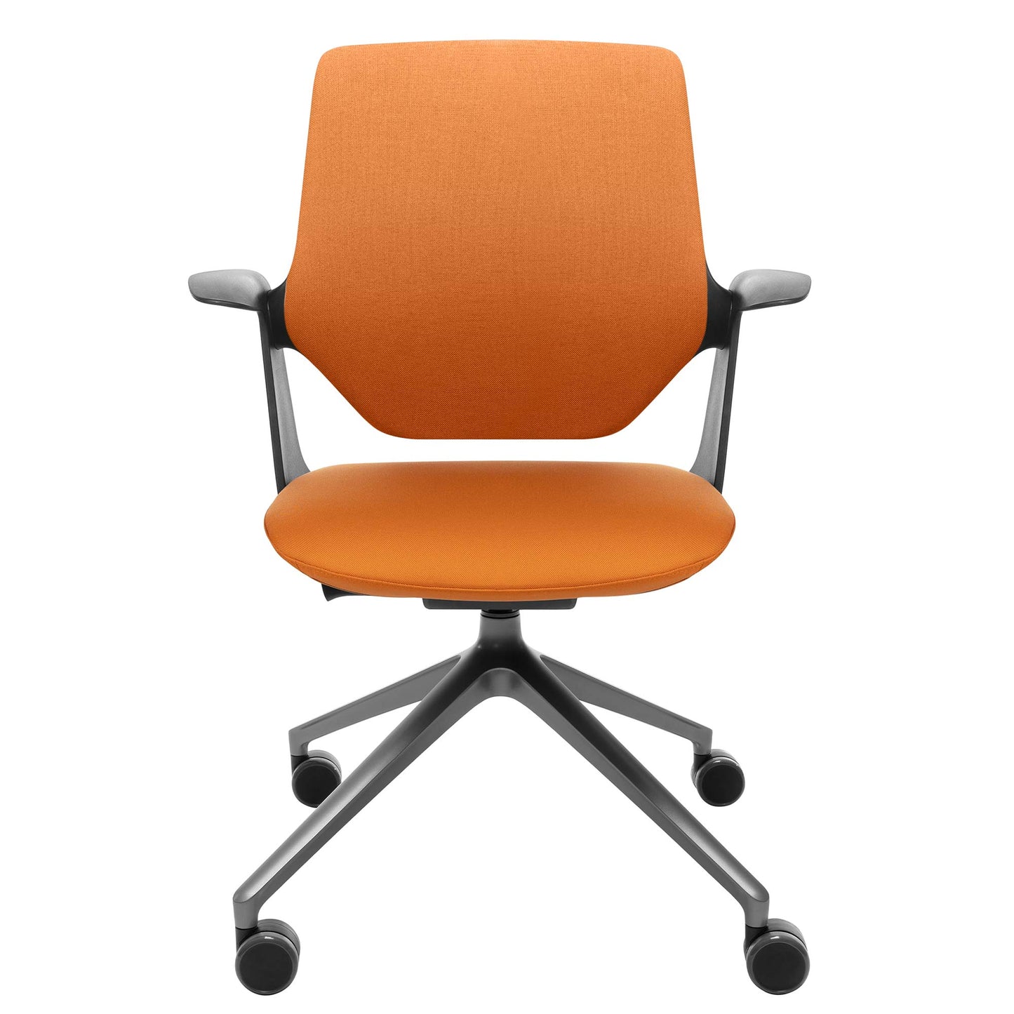 profim - TRILLO PRO Chaise dogging | Bulletry, mécanique synchrone, noir