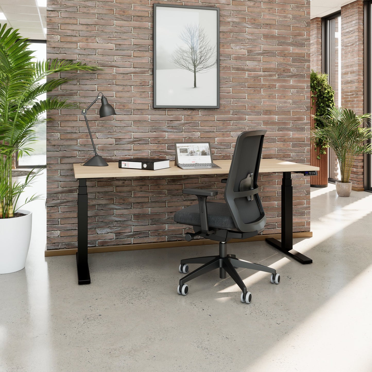 TELDRA Office, 2-Motoren-Schreibtisch | 1200 - 2000 x 800 mm, elektrisch höhenverstellbar, Bernsteineiche