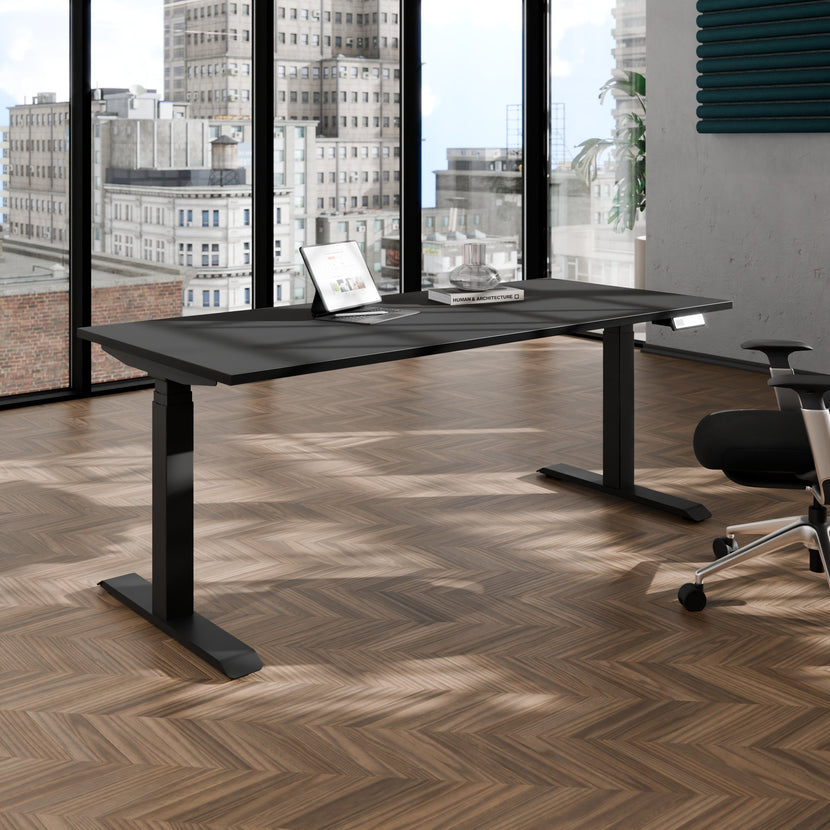 TELDRA Pro, Desk a 2 motori | 1600 - 2000 mm, regolabile altezza elettricamente, carbone Linoleum