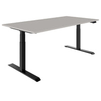 TELDRA Pro, Desk a 2 motori | 1600 - 2000 mm, regolabile altezza elettricamente, pioble linoleum