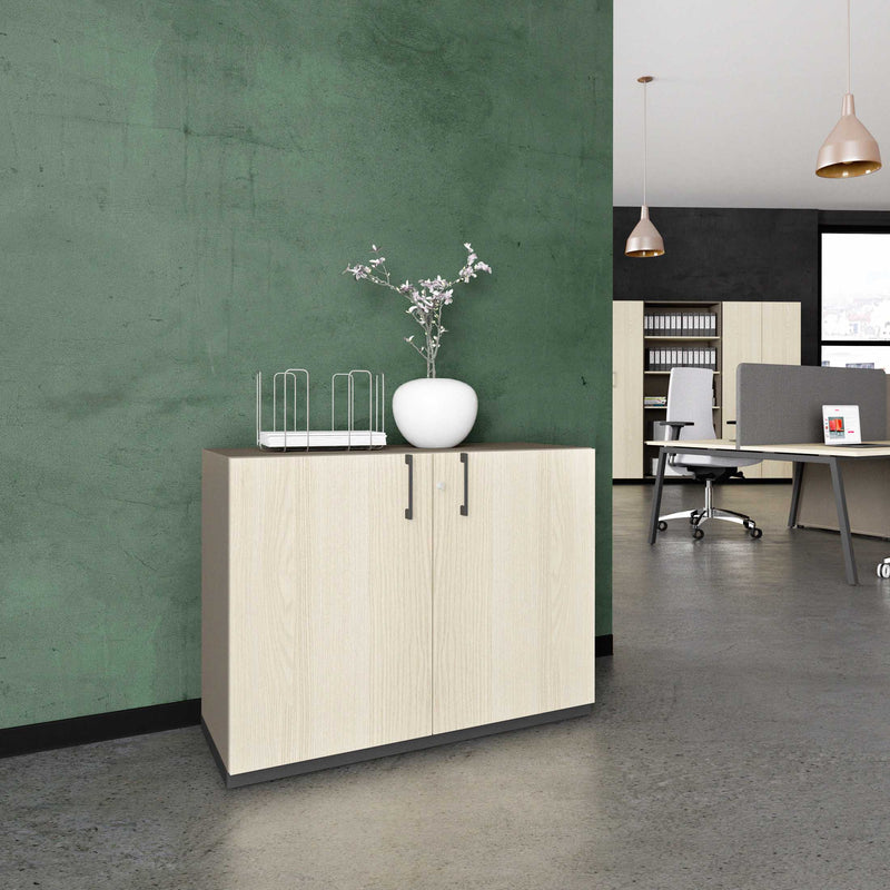 CHOICE Armadio con ante a battente | 2 OH, 1000 x 760 mm, grigio cubanite / frassino sabbia  - 1 Main Image