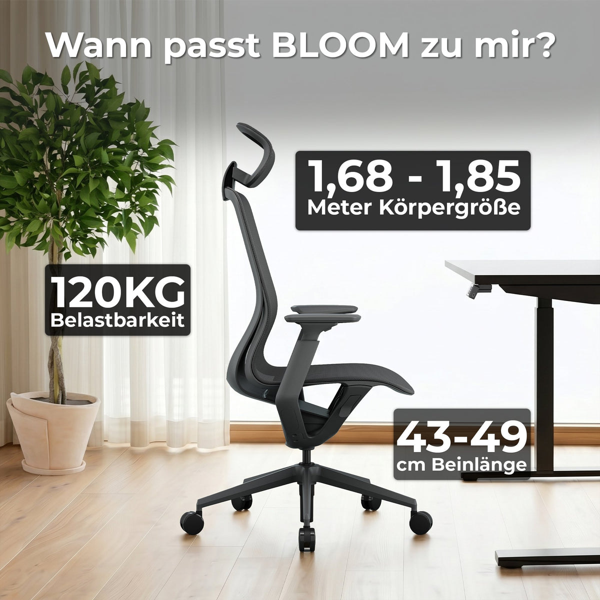 Bloom office swivel chair | 3D armrests, headrest, gray - 18 Lightbox Main Image
