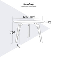 BRALCO RAIL meeting table | Round, 1200 - 1600 mm (4 - 6 people), gray tinted glass table top, solid oak wood frame
