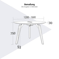 Table de réunion BRALCO RAIL | Rond, 1200 - 1600 mm (4 - 6 personnes), bois véritable, chêne carbone