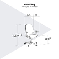 Chaise de bureau pivotante BREATHE | Accoudoirs fixes, piètement 5 branches, gris
