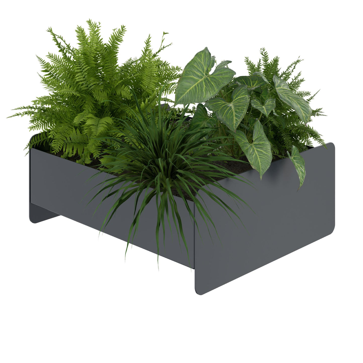 ATELLA flower box | 360 x 160 mm, metal