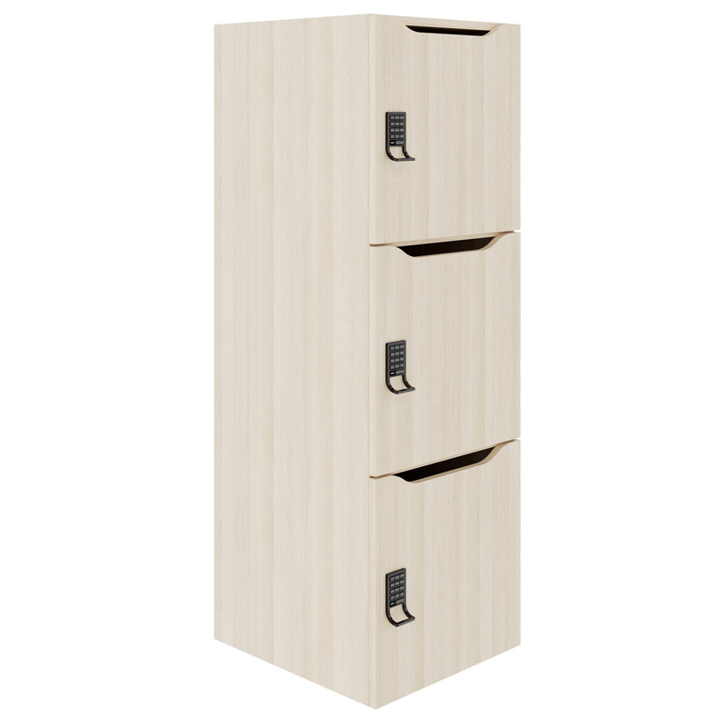 Armadietto CHOICE | 450 x 1370 mm, 2 o 3 scomparti, frassino sabbiato - 1 Main Image