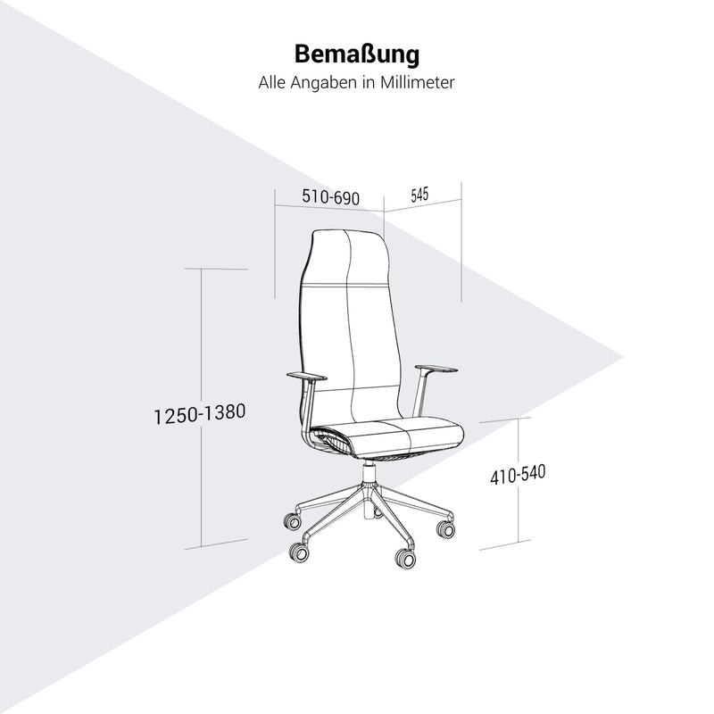 D-CHAIR Bürodrehstuhl | Synchronmechanik, 5-Stern-Fußkreuz, mit Kopfstütze - 13 Main Image