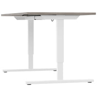 EASY 2-motor desk | 1200 - 1800 mm, electrically height adjustable, gray northern oak