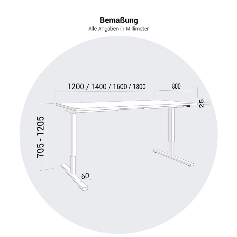 EASY 2-Motoren-Schreibtisch | 1200 - 1800 mm, elektrisch höhenverstellbar, Nordeiche grau - 13 Main Image