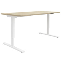 EASY 2-motor desk | 1200 - 1800 mm, electrically height adjustable, sand ash