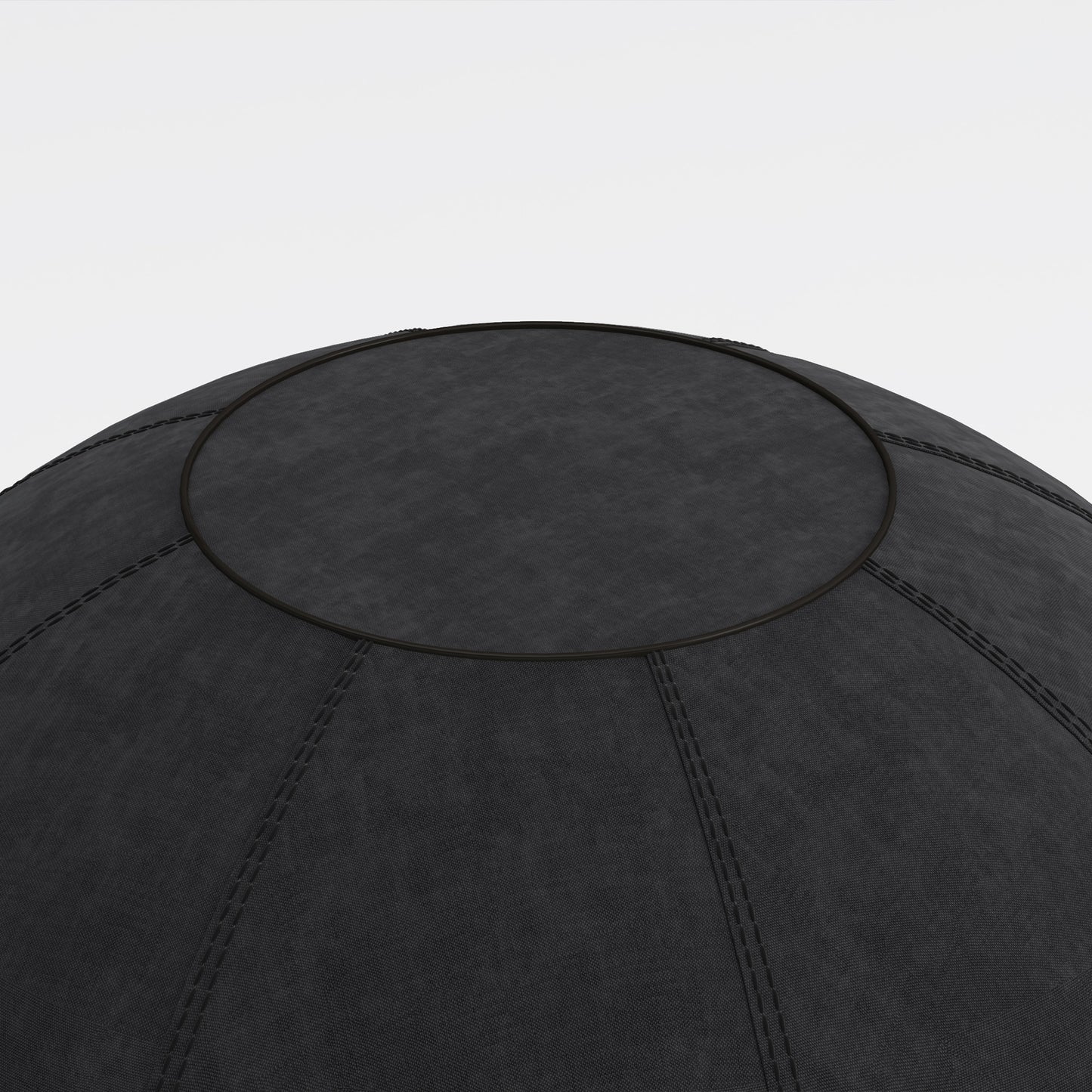 ERGOBALL Exercise Ball | 650 mm diameter, with handle, black