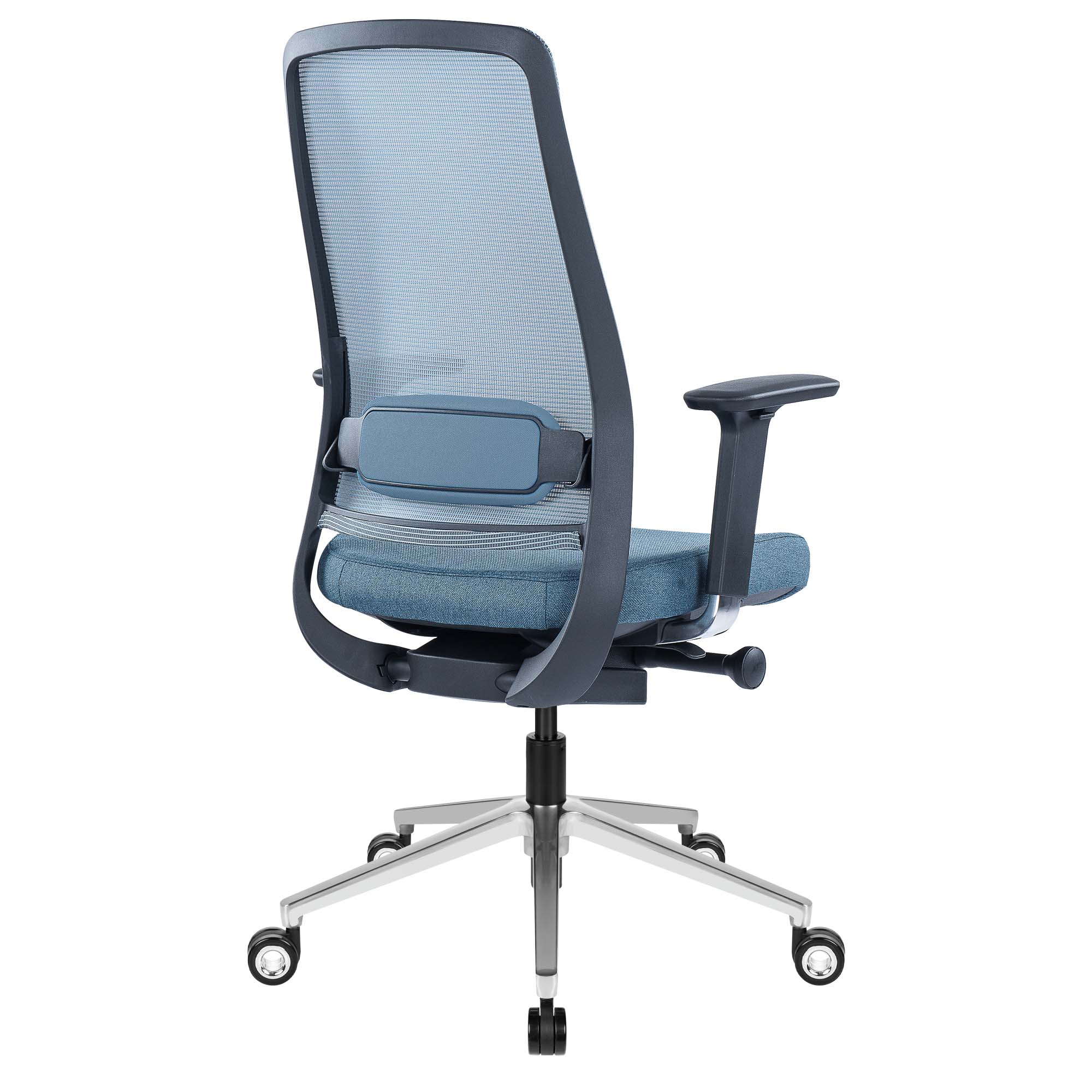 FILO-B 2.0 office swivel chair | Lumbar vertebrae lordosis, network back, blue