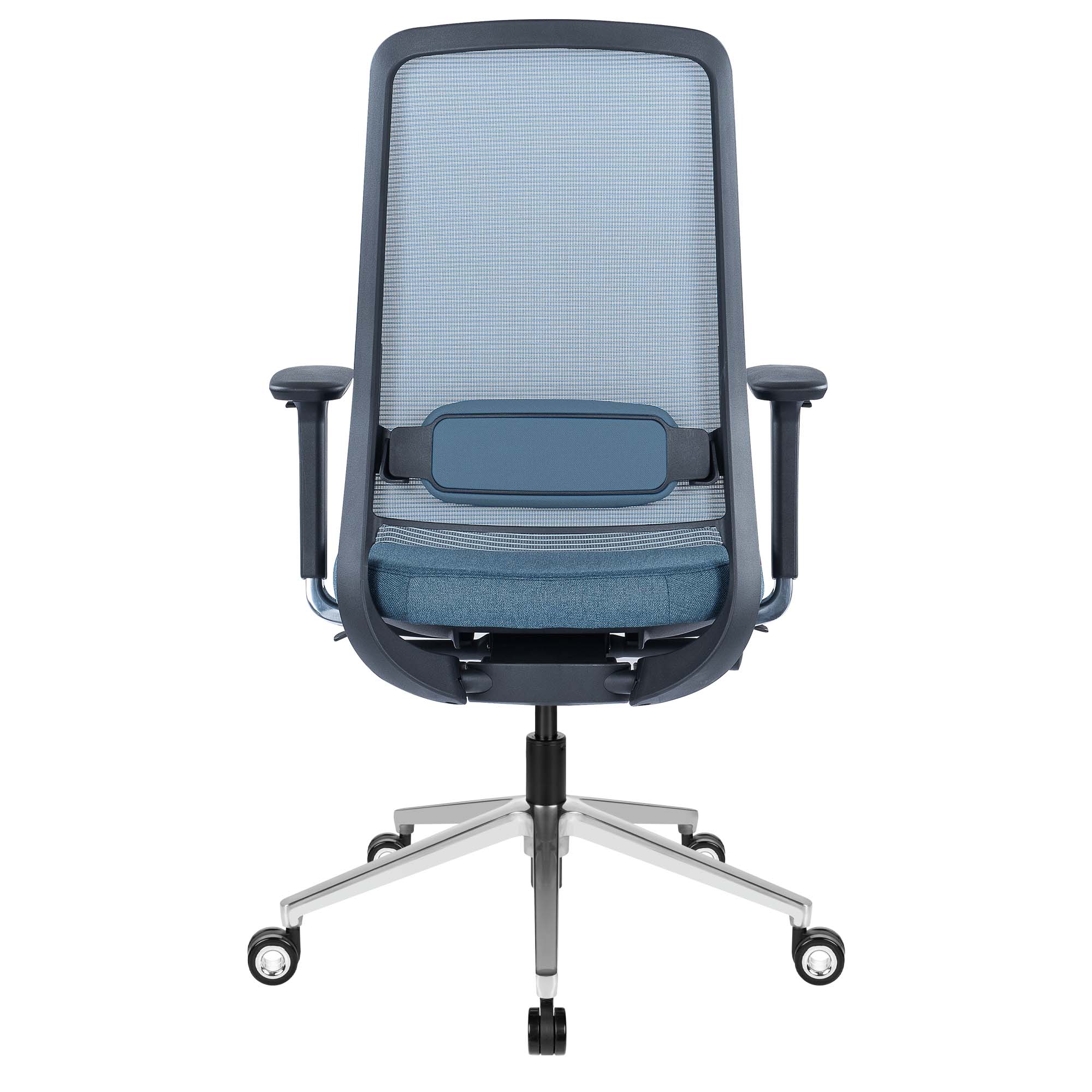 FILO-B 2.0 office swivel chair | Lumbar vertebrae lordosis, network back, blue