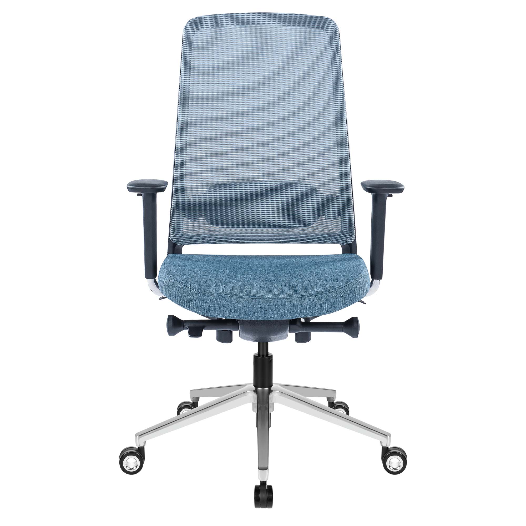 FILO-B 2.0 office swivel chair | Lumbar vertebrae lordosis, network back, blue