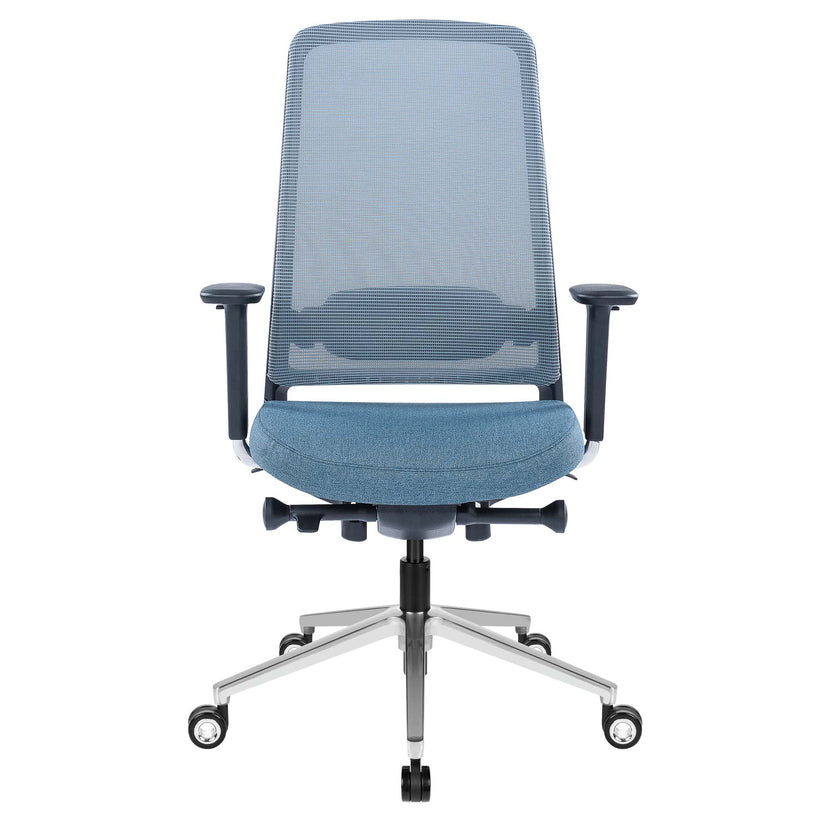 FILO-B 2.0 office swivel chair | Lumbar vertebrae lordosis, network back, blue