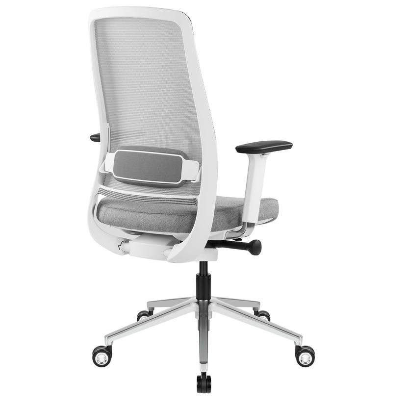 FILO-B 2.0 office swivel chair | Lumbar lumbar support, mesh back, gray