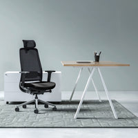 FILO-B 2.0 office swivel chair | Lumbar vertebrae lordosis, network back, black