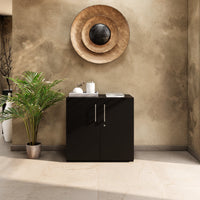 PRO Armoire de porte d'aile | 2 oh, 800 - 1200 x 770 mm, Soft -Close, noir