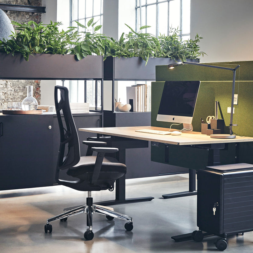 König + Neurath - JET.III office swivel chair | Mesh back, lumbar support, black