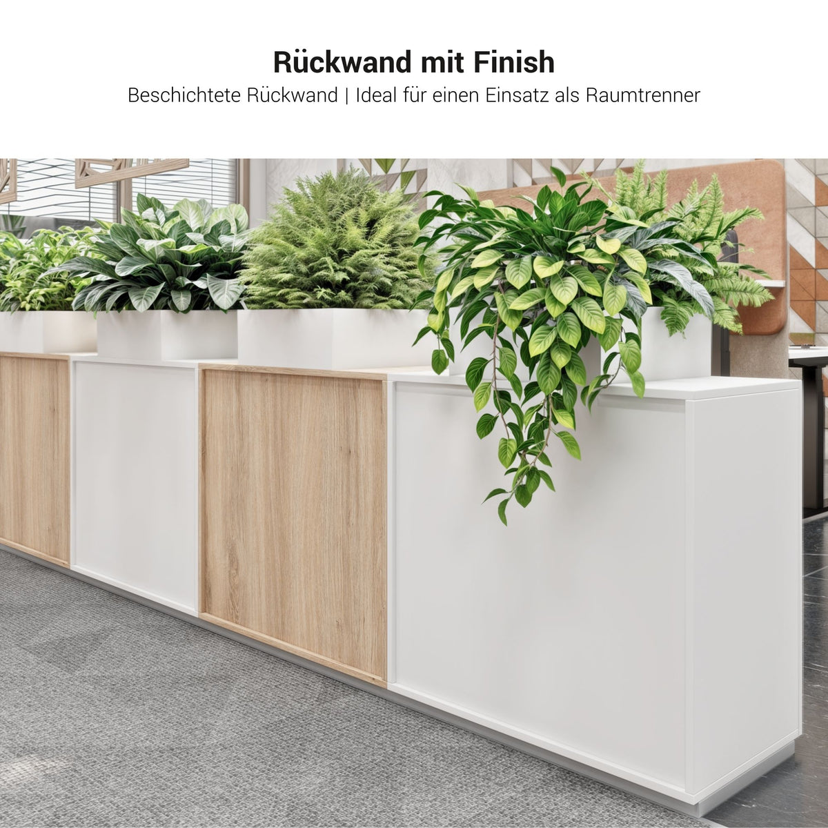 PRO combination cabinet | 5 OH, 800 x 1880 mm, natural oak - 12 Lightbox Main Image