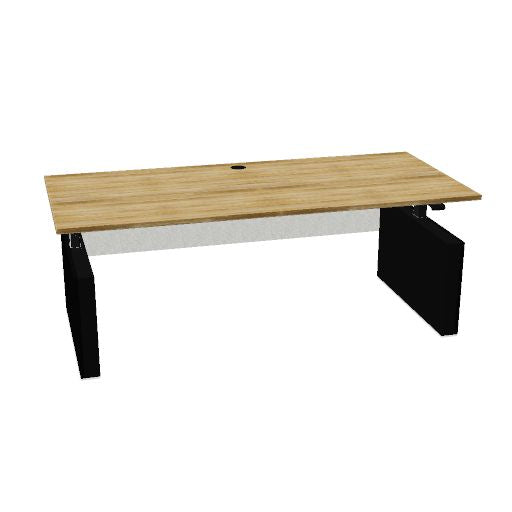 Lano-E 300 P, 2-Motoren-Schreibtisch | 1200-2000 mm, elektrisch höhenverstellbar