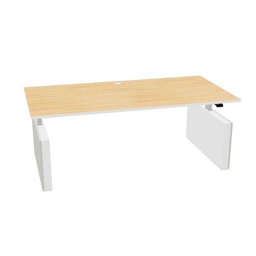 Lano-E 300 P, scrivania a 2 motori | 1200-2000 mm, regolabile in altezza elettricamente