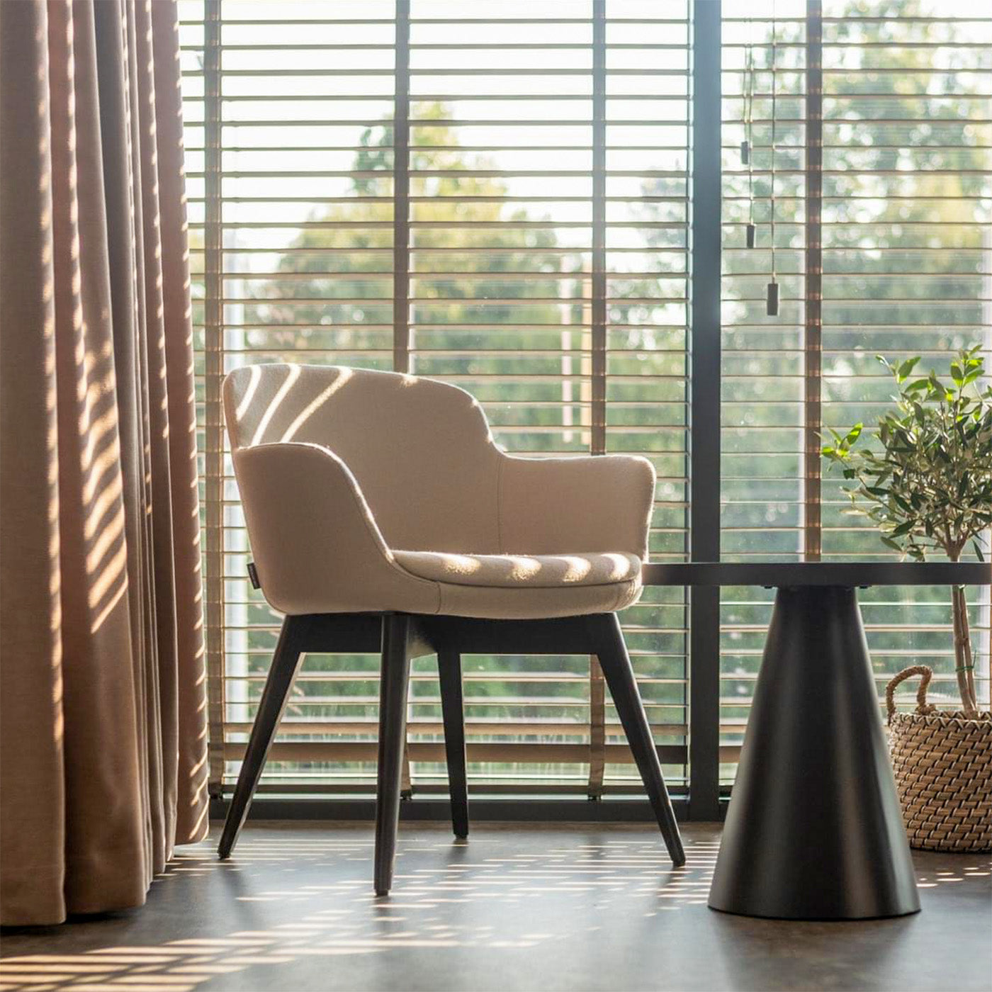 DANAE Fauteuil salon | Cadre Esche-Ech-Wood, Tabrics de référence Lucia / Velito / Synergy